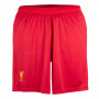 Liverpool trening kratke hlače 