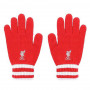 Liverpool Handschuhe