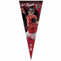 Atlanta Falcons Premium zastavica Matt Ryan