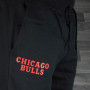 Chicago Bulls New Era Team Apparel trenerka hlače