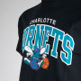 Charlotte Hornets Mitchell & Ness Team Arch majica 
