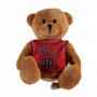 Chicago Bulls Jersey Teddybär
