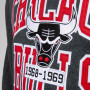 Chicago Bulls 1968-1969 Mitchell & Ness Playoff Win maglione con cappuccio