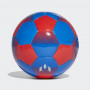 Messi Adidas Mini Ball 1