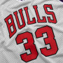 Scottie Pippen 33/30 Chicago Bulls All Star 1995 Mitchell & Ness Divisa Mesh Tank reversibile