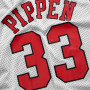Scottie Pippen 33/30 Chicago Bulls All Star 1995 Mitchell & Ness Mesh Tank Top beidseitig tragbar