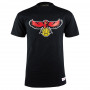 Atlanta Hawks Mitchell & Ness Team Logo T-Shirt