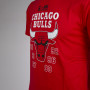 Chicago Bulls New Era Team Champion majica