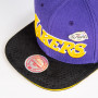Los Angeles Lakers Mitchell & Ness LA Pinned kapa