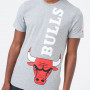 Chicago Bulls New Era Team T-Shirt 