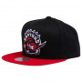 Toronto Raptors Mitchell & Ness Team Logo 2 Tone cappellino