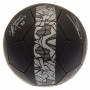 Manchester City PH Ball mit Unterschriften