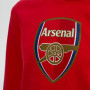 Arsenal Crest otroški pulover s kapuco