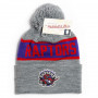 Toronto Raptors Mitchell & Ness Team Tone cappello invernale