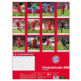 FC Bayern München kalendar 2020