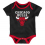 Chicago Bulls 3x body 