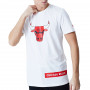 Chicago Bulls New Era Block Wordmark T-Shirt
