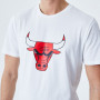 Chicago Bulls New Era Block Wordmark majica