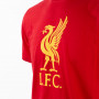 Liverpool Graphic Red T-Shirt