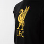 Liverpool Graphic Black T-shirt per bambini