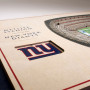 New York Giants 3D Stadium View slika