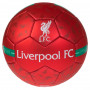 Liverpool Liverbird Ball