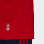 FC Bayern München Adidas DNA Graphic T-Shirt