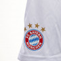 FC Bayern München Poly Kit Kinder Training Trikot Komplet Set
