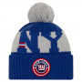 New York Giants New Era NFL 2020 Official Sideline Cold Weather Sport Knit cappello invernale