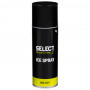 Select Ice Spray spray rinfrescante 200 ml