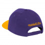 Los Angeles Lakers Mitchell & Ness Wool 2 Tone Redline Mütze
