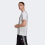 Germania Adidas DFB DNA Graphic T-Shirt