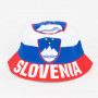 Slowenien Fan Hut