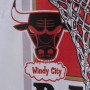 Chicago Bulls Mitchell & Ness Vibes T-Shirt