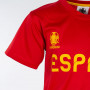 Španija UEFA Euro 2020 Poly otroški trening komplet dres
