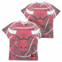 Chicago Bulls Mitchell & Ness Jumbotron majica