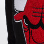 Chicago Bulls Mitchell & Ness Chenille Logo Kapuzenpullover Hoody