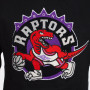 Toronto Raptors Mitchell & Ness Chenille Logo Kapuzenpullover Hoody