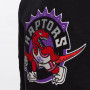 Toronto Raptors Mitchell & Ness Chenille Logo duks sa kapuljačom