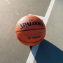 Spalding Varsity TF-150 košarkarska žoga