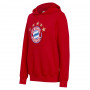 FC Bayern München Logo maglione con cappuccio