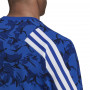 Dinamo Adidas Future Icons Camo Graphic Kapuzenpullover Hoody