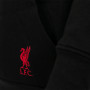 Liverpool N°10 maglione con cappuccio