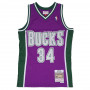 Ray Allen 34 Milwaukee Bucks 2001-02 Mitchell & Ness Swingman dres