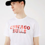 Chicago Bulls New Era Photographic Wordmark majica
