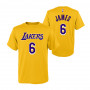 Lebron James 6 Los Angeles Lakers Flat Replica T-Shirt per bambini