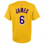 Lebron James 6 Los Angeles Lakers Flat Replica Kinder T-Shirt