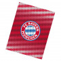 FC Bayern München Decke 130x170