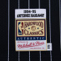 Anfernee Hardaway 1 Orlando Magic 1994-95 Mitchell & Ness Authentic Alternate Maglia