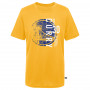 Stephen Curry 30 Golden State Warriors Handles 4 Days Graphic dečja majica